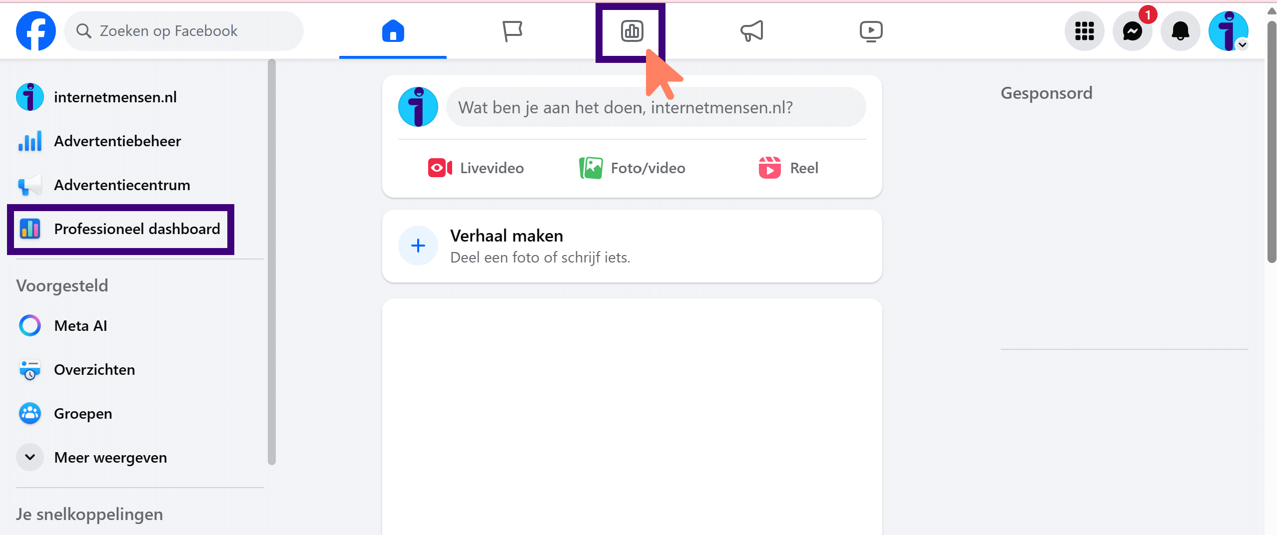 navigeren-naar-professioneel-dashboard-1