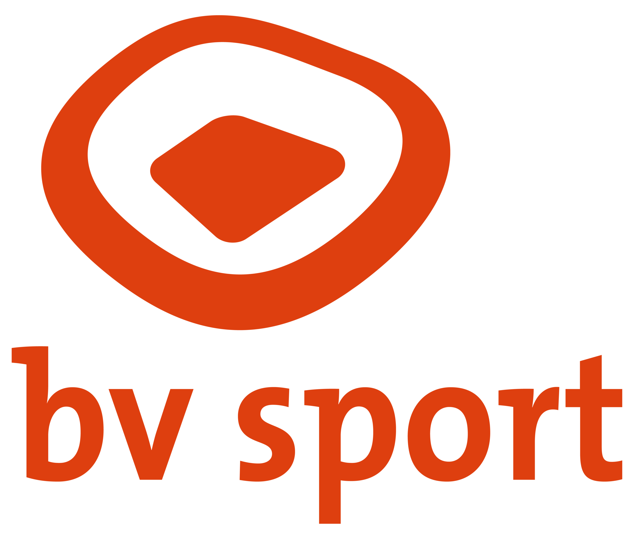 bvsport